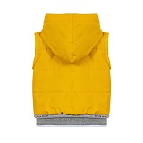 Жилет утепленный для мальчика Lapin House Lapin House 231E1287/2-6/М/23-01